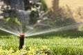 automatic sprinkler system watering the lawn on a background of green grass Royalty Free Stock Photo