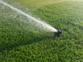 Automatic sprinkler system for watering lawn on background of green grass closeup Royalty Free Stock Photo