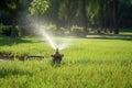 Automatic sprinkler system watering the lawn, lush lawn on a sunny day Royalty Free Stock Photo