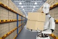 Automatic warehouse with robot work in warehouse