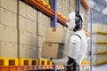 Automatic warehouse with robot work in warehouse