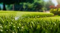 Automatic watering of the green lawn. The nozzle sprays water onto the lawn. Automatic lawn care