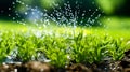 Automatic watering of the green lawn. The nozzle sprays water onto the lawn. Automatic lawn care