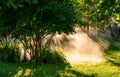 Automatic watering lawns Royalty Free Stock Photo