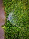 Automatic watering system on the backyard lawn