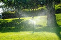 Automatic watering system and water sprayed from the sprinkler for lawn, grass Royalty Free Stock Photo