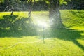 automatic watering system and water sprayed from the sprinkler for lawn, grass Royalty Free Stock Photo