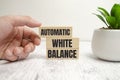 automatic white balance words on wooden block and wooden background