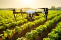 Automation of agriculture in action: a quadcopter monitors the condition of the crop