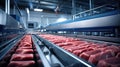 automation conveyor food processing