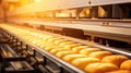 automation conveyor food processing