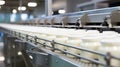 automation conveyor food processing