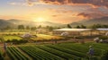 automation future farm