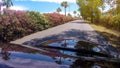 Automobile driving along country road, view at palm trees and flowering bushes Royalty Free Stock Photo