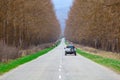 Automobile road among the trees, Georgia Royalty Free Stock Photo