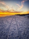 Tire tracks in Sand on Destin, Florida Beach. Royalty Free Stock Photo