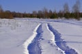 Automobile track on virgin snow