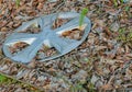 Automobile wheel cover laying on ground