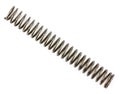 Automotive suspension springs on a white background