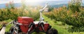 Autonomous agricultural robot with robotic arm. Smart farm concept.