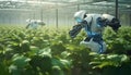 Autonomous Agriculture Robots Working in Smart Vegetable Farm, Future 5G technology. Bio