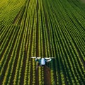 An autonomous drone spraying crops in a large agricultural field1