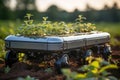 Autonomous robot garden cart with plantings on it. Technology in seedlings