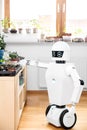 Autonomous robot is gardening indoors