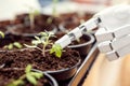 Autonomous robot is gardening indoors