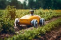 Autonomous robot working in the field. Smart farming and digital transformation in agriculture.