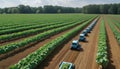 Autonomous Robots Farming on a Sustainable Field