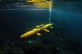 autonomous underwater glider monitoring currents