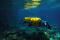 autonomous underwater vehicle auv navigating