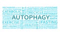 Autophagy word cloud vector Royalty Free Stock Photo