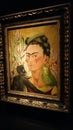 Autorretrato con chango y loro, painted in 1942, by Frida Kahlo mexican artist, 1907-1954. Malba Collection, Buenos Aires Royalty Free Stock Photo