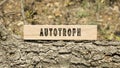 Autotroph written on wooden surface. Frame on tree branch. Ecology and environment Royalty Free Stock Photo
