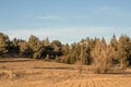 Autum American western rural ranch countryside landscape with tall vintage rustic retro windmill in a mowed field and green oak