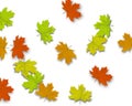 Autum Background Royalty Free Stock Photo