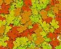 Autum Background Royalty Free Stock Photo