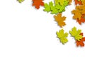 Autum Background Royalty Free Stock Photo