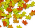 Autum Background Royalty Free Stock Photo