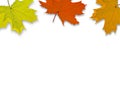 Autum Background Royalty Free Stock Photo