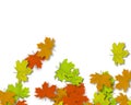 Autum Background Royalty Free Stock Photo