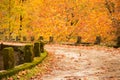 Autum background bridge and yellow tree leaves in village Zgara Royalty Free Stock Photo