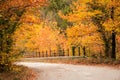 Autum background bridge and yellow tree leaves in village Zgara Royalty Free Stock Photo