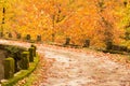 Autum background bridge and yellow tree leaves in village Zgara Royalty Free Stock Photo