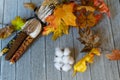 Autumn Background with leaves, pumpkins, dried corn, and gourds. Royalty Free Stock Photo