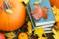 autum Books.Back to school.Halloween Books.Study and education concept. stack of books,maple leaves and pumpkins in Royalty Free Stock Photo