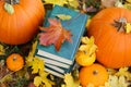 autum Books.Back to school.Halloween Books.Study and education. stack of books,maple leaves and pumpkins in autumn Royalty Free Stock Photo