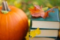autum Books.Halloween Books.Study and education concept. stack of books,maple leaves and pumpkins in autumn garden Royalty Free Stock Photo